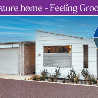 Our Largest and Most Popular Design – Feeling Groovy