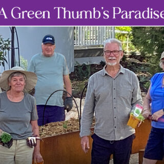 Cultivating Joy at the Resort