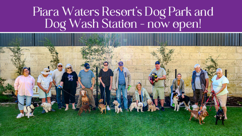 Our Dog Park and Dog Wash Station