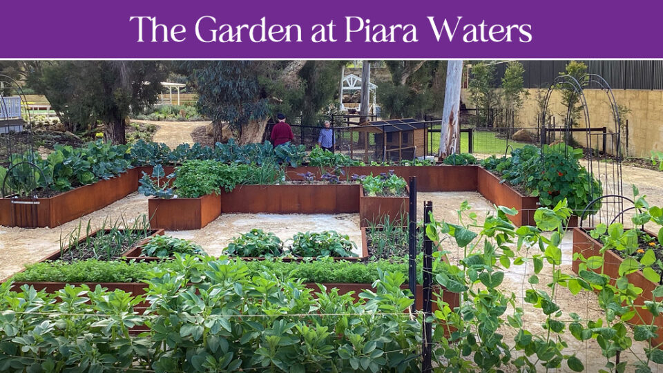 News: The Garden at Piara Waters